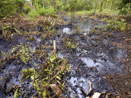 Oil Spill