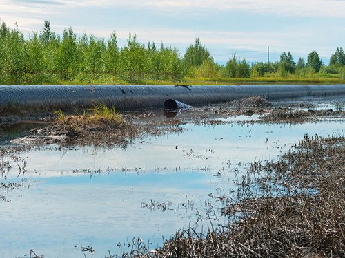 Oil Spill